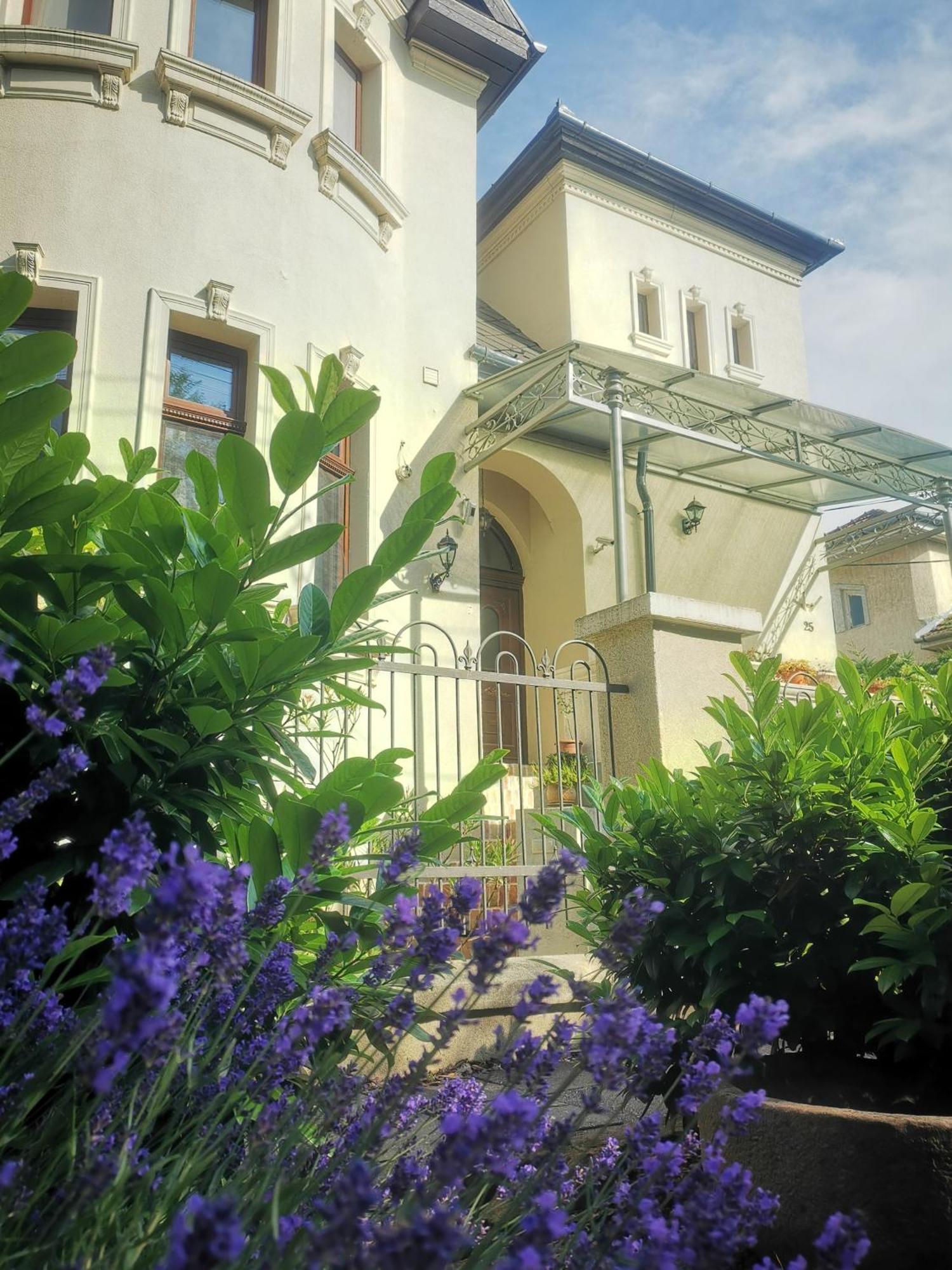 Kuria Apartman With Private Jacuzzi And Pool Budapest Exterior foto
