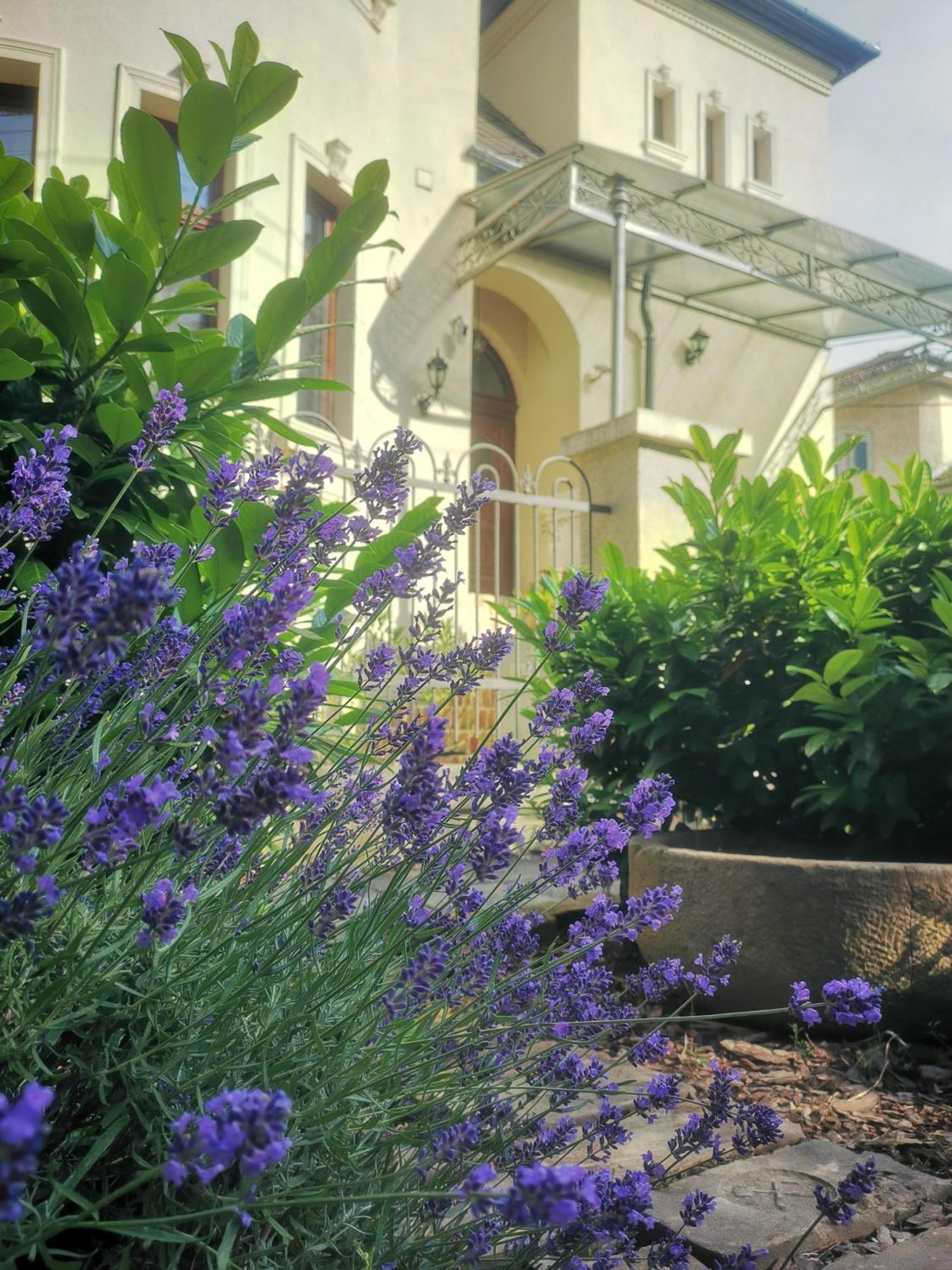 Kuria Apartman With Private Jacuzzi And Pool Budapest Exterior foto