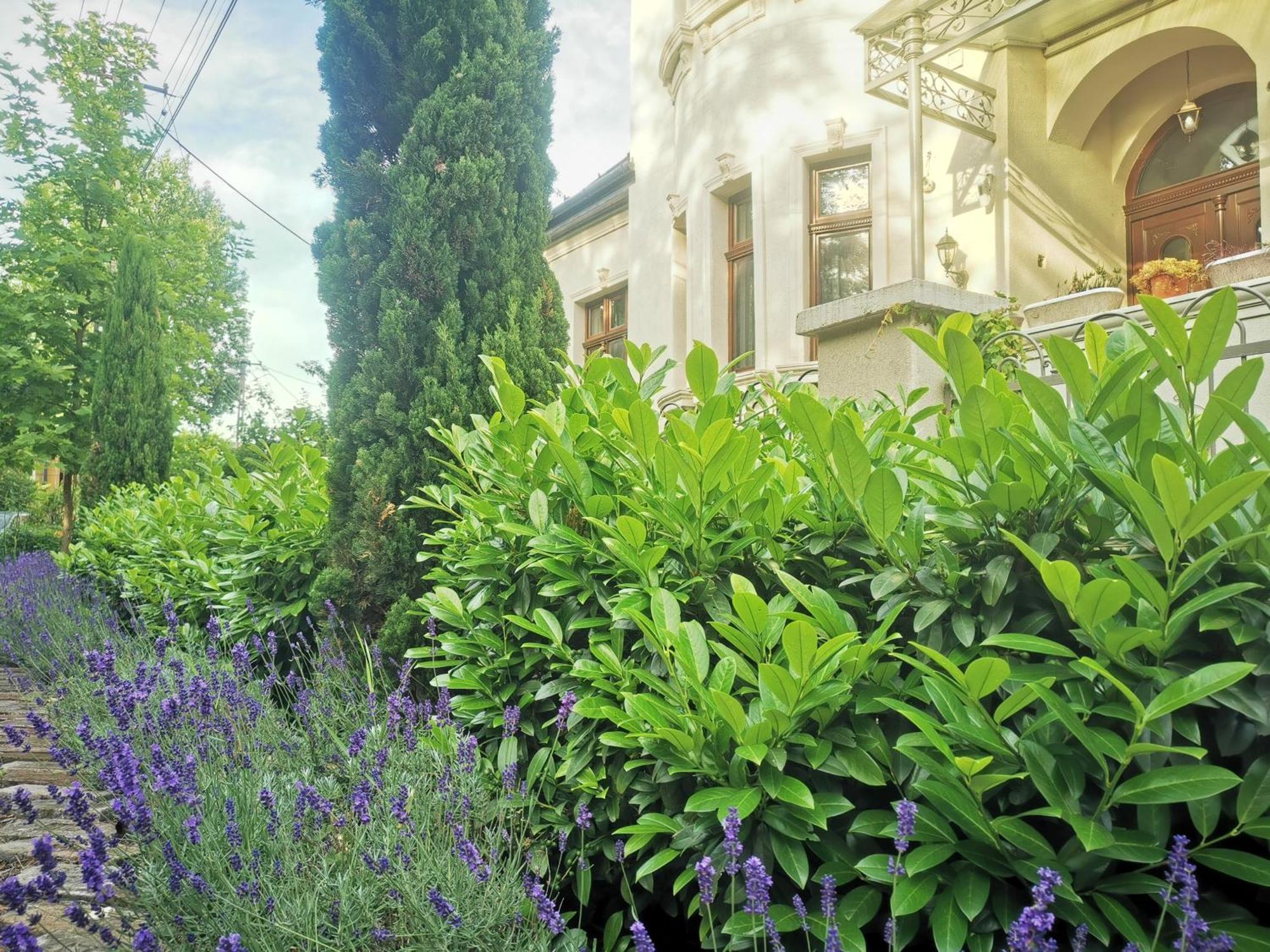 Kuria Apartman With Private Jacuzzi And Pool Budapest Exterior foto